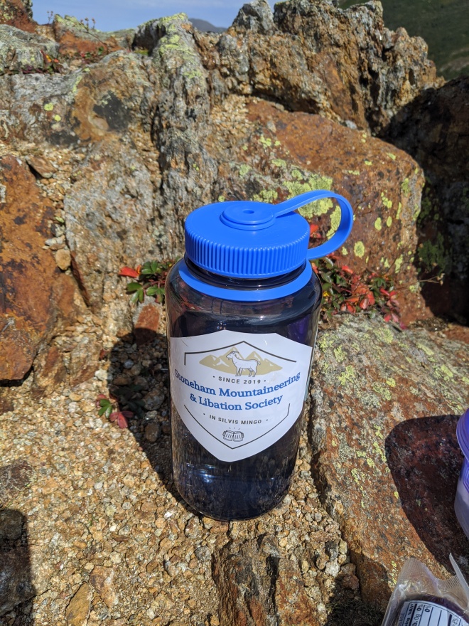 A water bottle with a sticker on it, on a mountain